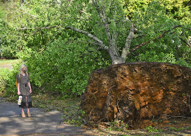 Possible tornado leaves mark on Dothan neighborhood